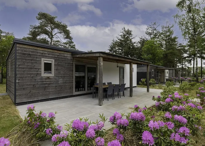 Woodlodge Xl 588 木屋 Vessem