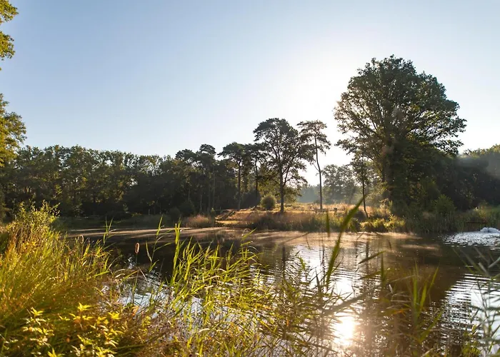 Woodlodge Xl 588 木屋